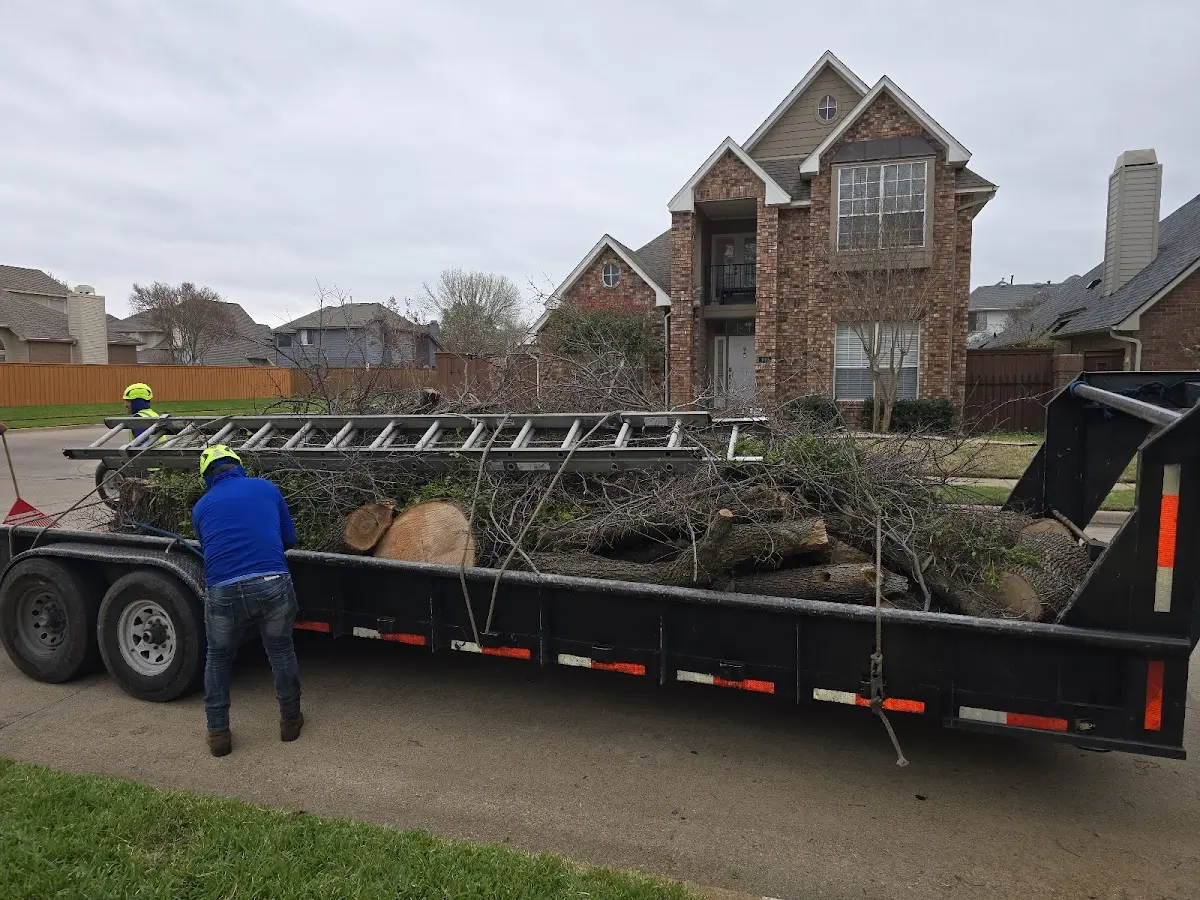 Expert Lot Clearing with proper safety equipment in Carbon